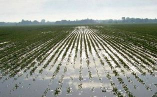 pioggia_agricoltura