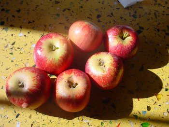 Mele e pomodori per la salute dei polmoni