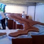 Tronco Castagne Bagnoli