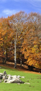 piana delle Pesche - Matese