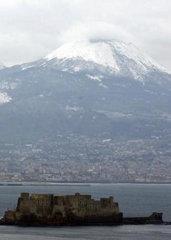 9514_571266022890478_1153306590_nVERT