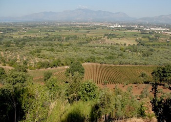 Un concorso fotografico sul paesaggio del Vino in Campania
