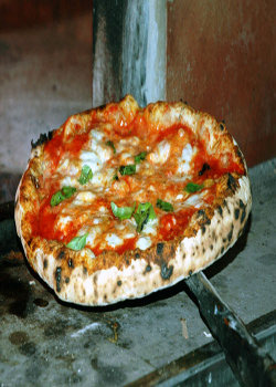 pizza-margherita-cotturaVERT