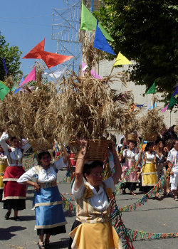 Foglianise-Festa_del_Grano-donne_con_ceste