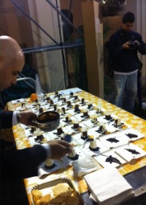 carlo cuofano prepara bufalata croccante