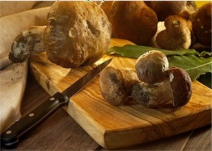 news-festa_fungo_porcino