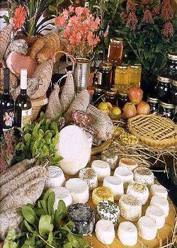 4408_600x400_w_02a2f95813328faa987271cd3fe881ba