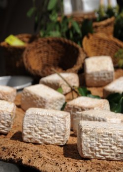 cheese-20131-620x439