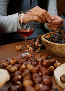 Italien, Südtirol, Dorf Tirol,
2008,