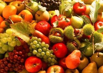 Il Report della Regione Campania a FruitLogistica