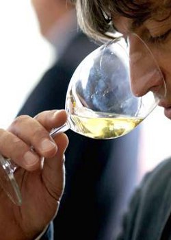 Vitica Open Day, masterclass con i vini casertani