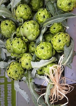 FESTA-CARCIOFO-AULETTA-2-1