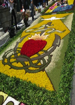 infiorata 5