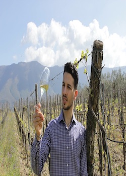 paolo di cerbo 1 (1)