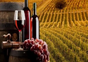Inizia la Sagra del vino a Galluccio