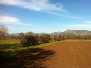 12187740_10206916254618926_1899845025345326398_n-1