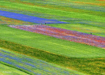 castelluccio