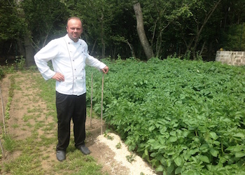 Francesco Fusco nel suo orto web