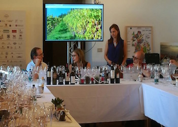 Il 2021 del vino, intervista a Piero Gabriele di AIS Campania