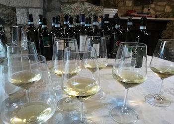 I Vini bianchi campani per la Vigilia 2019: Alberata, Santa Vara, Fauno Bianco