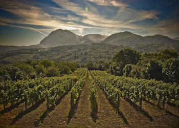 Acino’  #nonèunafiera ma una bella rassegna sul vino naturale e sostenibile. Ad Avellino