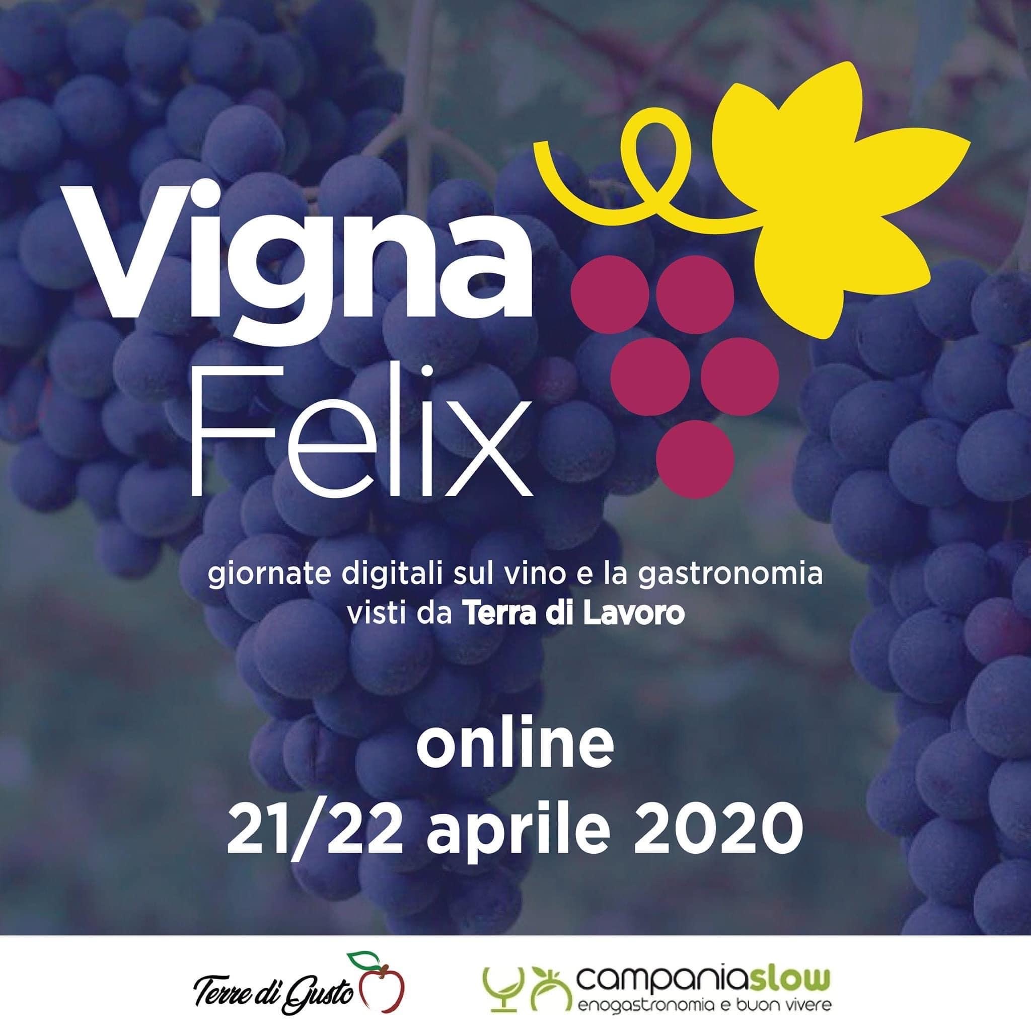 Domani Vignafelix, discutere di Vino, ristorazione, turismo enogastronomico al tempo di Covid