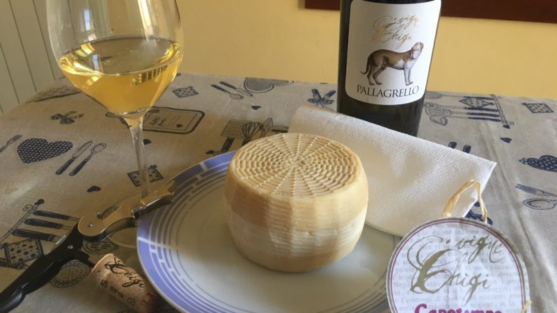 Degustazione guidata del Formaggio Capotempo di Capua e Pallagrello Bianco Vigne Chigi