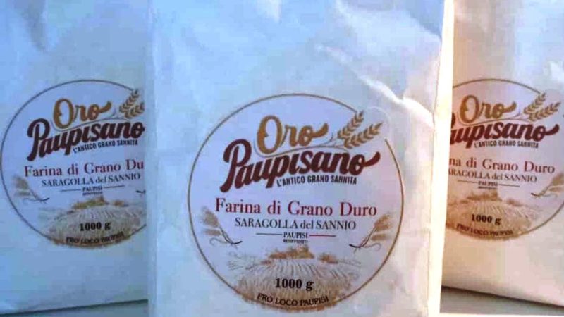 Oro Paupisano, aumenta la produzione del grano  Saragolla della Pro Loco, il “senso” per  i cecatielli