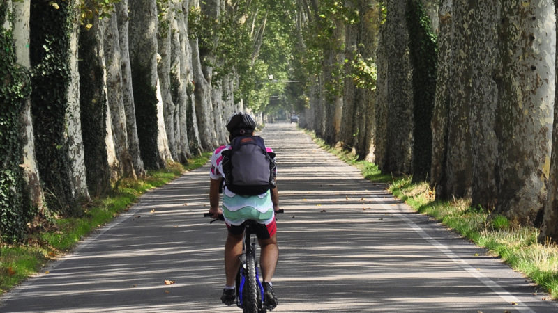In Bici nei dintorni della Reggia di Caserta, si presenta il libro di cicloturismo e gusto